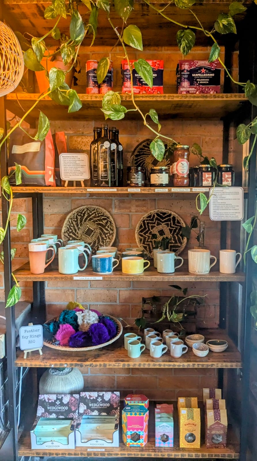 Coffee Craft shelves with ceramics, local goods and trailing plants